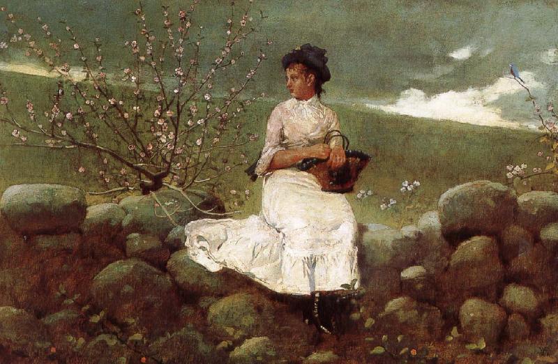 Winslow Homer Peach bloom Germany oil painting art